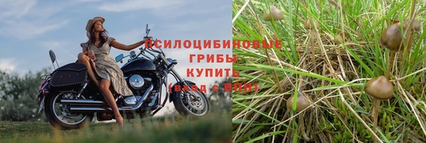 марихуана Арсеньев